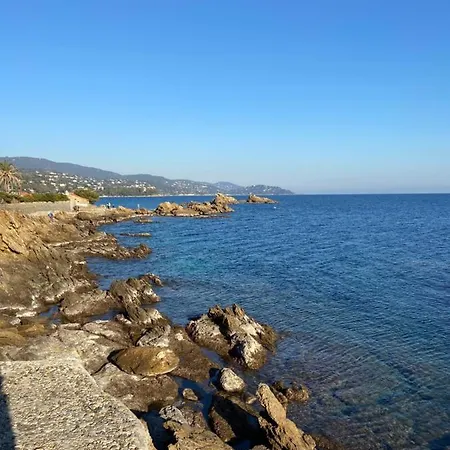 Cotepiscine Apartman Le Lavandou