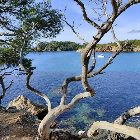 Apartament Cotepiscine